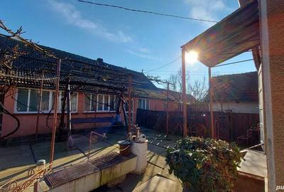 Casă cu 6 camere cu Teren 2984 Mp în Chișineu-Criș - 2