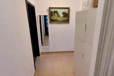 Apartament cu 2 camere decomandat, mobilat în Drumul Taberei - 3
