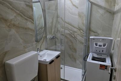 Garsonieră semidecomandată, mobilată în Ferdinand - 9