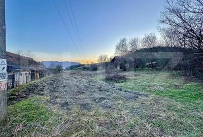 Teren de 4600 mp, în Central - 1