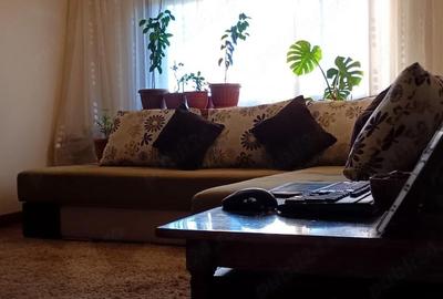 Apartament cu 3 camere decomandat în Steaua - 8
