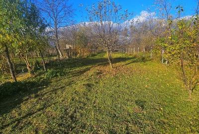 Casă cu 4 camere în Teișani - 17