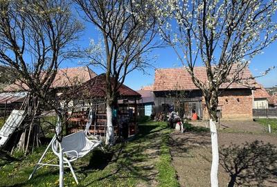 Casă cu 3 camere în Nord - 2