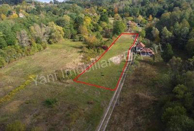 Teren de 2250 mp, în Ioanicești - 17