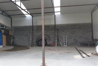 Inchiriere hala pentru depozitare sau atelier Iris - Valea Chintaului - 1