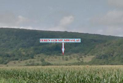 Teren de 6128 mp, în Mirăslău - 4