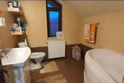 Baia Sprie, zona buna, casa finisata, 10 ari Baia Sprie, zona buna, casa finisata, 10 ari - 8