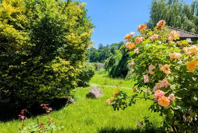 Mogosoaia,vila robusta cu vedere spectaculoasa catre lac,palat,parc,1750mp teren - 10