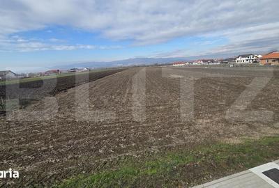 Teren de 14300 mp, în Ciugud - 4