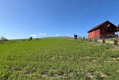 Teren de 2020 mp, în Vale - 3
