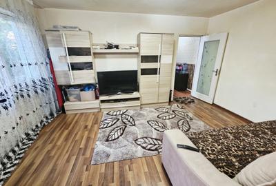 Apartament 2 camere, confort 2, parter – zona Malu Roșu - 6