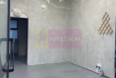 Spațiu comercial Calea Calarasilor - Popa Nan - 1