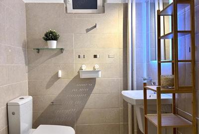 Garsoniera Vasile Lascar 33, bloc 1979 - zona Batistei - Armeneasca - 11