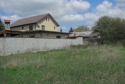 Cornetu - Lalelelor, Stradal - 2