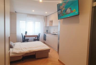 Garsonieră semidecomandată, mobilată în Vatra Luminoasă - 3