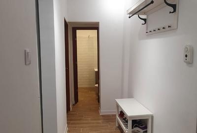 Apartament cu 2 camere decomandat în Lacu - 15