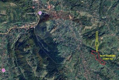 Teren intravilan, 1500 mp, Bran - 13