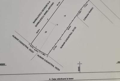 Spațiu comercial, în Valea Babei - 5
