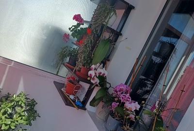 Apartament cu 3 camere decomandat în Ostroveni - 6