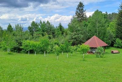 Teren intravilan de 2000 mp, în Central