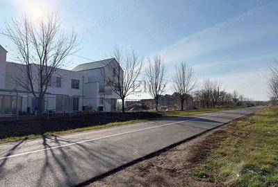 Teren de 550 mp, în Paleu - 4