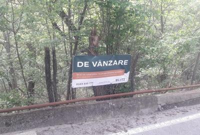 Teren de 917 mp, în Cornu - 4
