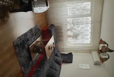 Apartament cu 2 camere semidecomandat în Timișoara - 4
