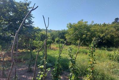 Casă cu 5 camere în Blaj - 10