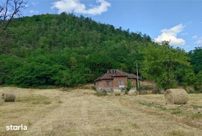 Casă cu 4 camere cu Teren 9563 Mp în Ribița - 3