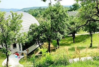 Casă cu 3 camere cu Teren 700 Mp în Central - 6