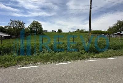 Teren de vanzare, Sat Valea Mare, Com. Ro?iori, Bacau - 7