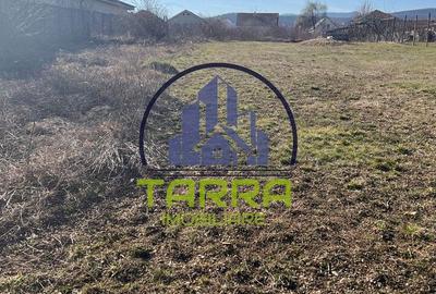 Teren de 3000 mp, în Cetate - 1