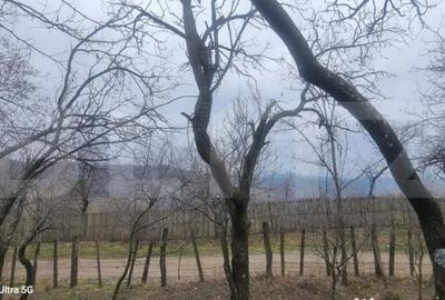 Teren în Schiulești - 6