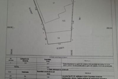 Casă cu 10 camere decomandat cu Teren 430 Mp în Dacia