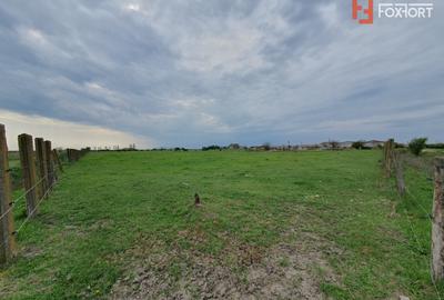 Teren Construcții intravilan de 58340 mp, în Sânmartinu Sârbesc - 23