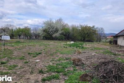 Teren de 4600 mp, în Recea - 7