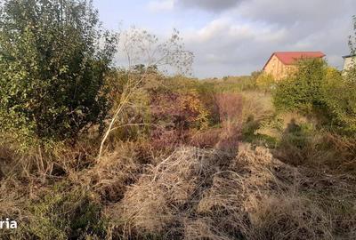 Teren de 5000 mp, în Adunații-Copăceni - 2