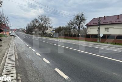 Teren de 9292 mp, în Cuzdrioara - 4