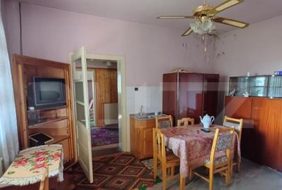 Casa renovabila cu 11508 mp teren, in Copaceni - 15