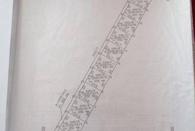 Imobiliare Maxim - Teren in Daia - 2