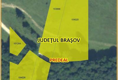 Teren de 2660 mp, în Timișu de Sus - 1