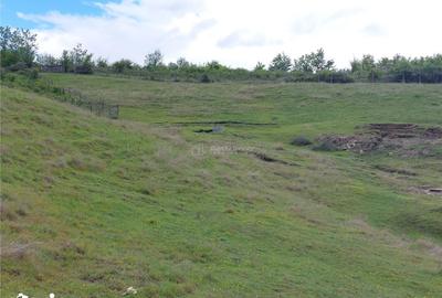 Teren de 10000 mp, în Pănătău - 8