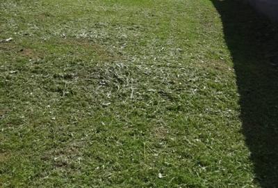 Casă cu 3 camere cu Teren 1822 Mp în Ghelari - 5