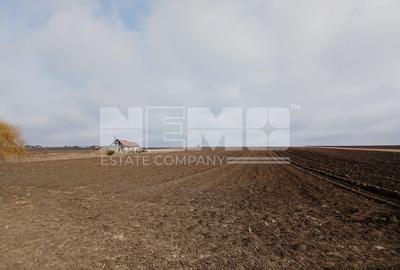 Teren agricol intravilan de 7700 mp, în Moara - 1