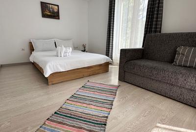 Casă cu 4 camere în Toplița - 3