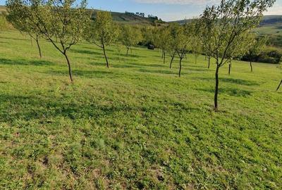 Spațiu comercial, în Aluniș - 3