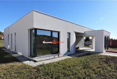 RESEDINTA CU TENDINTE CONTEMPORANE INTR-UN ANSAMBLU NOU DE V - 2