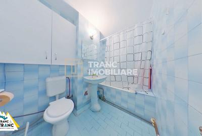 Apartament cu 2 camere semidecomandat, mobilat în Micălaca - 9