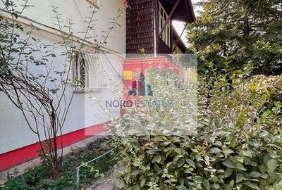 Aeroport Baneasa-Metrou, Apartament in vila, Garaj, Curte, Centrala - 9