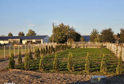 Casă cu 3 camere cu Teren 1900 Mp în Vârfu Câmpului - 5